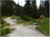 Rifugio Pederü - Remeda Rossa / Rote Wand